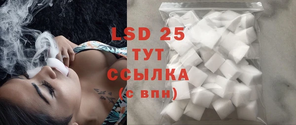 хмурый Вяземский
