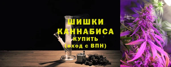 хмурый Вяземский