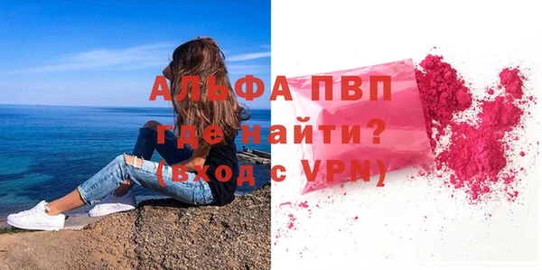гашик Вязьма