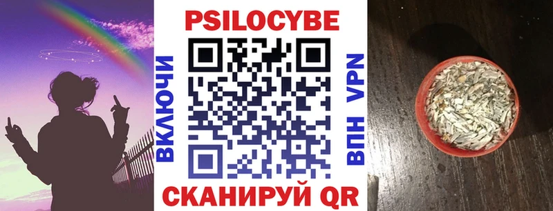 Купить закладки  Ленск  Псилоцибиновые грибы Psilocybine cubensis 